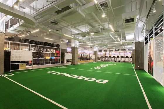 Zichtbare baanlijnen Latijns-Amerika Commerciële sporten Kunstgras voor regelmatig onderhoud