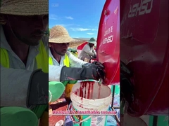 WA-gecertificeerd Hoge flexibiliteit Tartan loopbaan op maat voor projecten