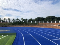 Elastische Rubberepdm-Korrels die niet Giftige Vriendschappelijke Eco vloeren