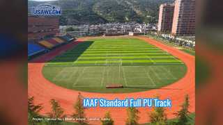 Professionele IAAF volledige PU-renbaan 13 mm standaard